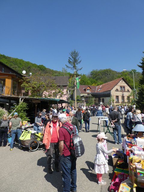 Foto: K.P. Schäfer