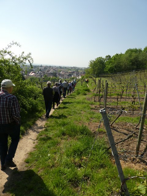 Foto: K.P. Schäfer