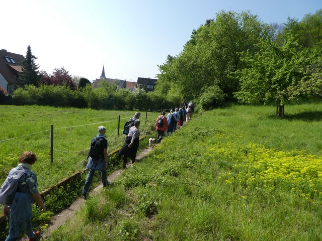 Foto: K.P. Schäfer