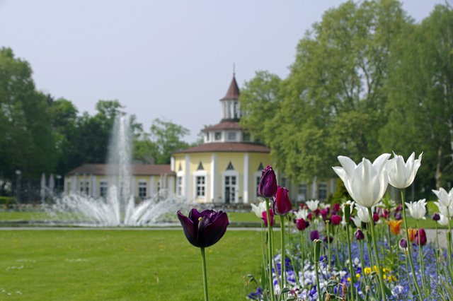 Foto: Ilona Schäfer