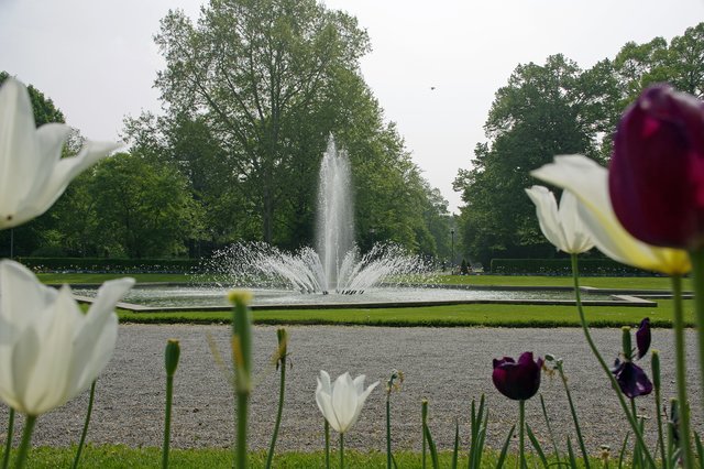 Foto: Ilona Schäfer