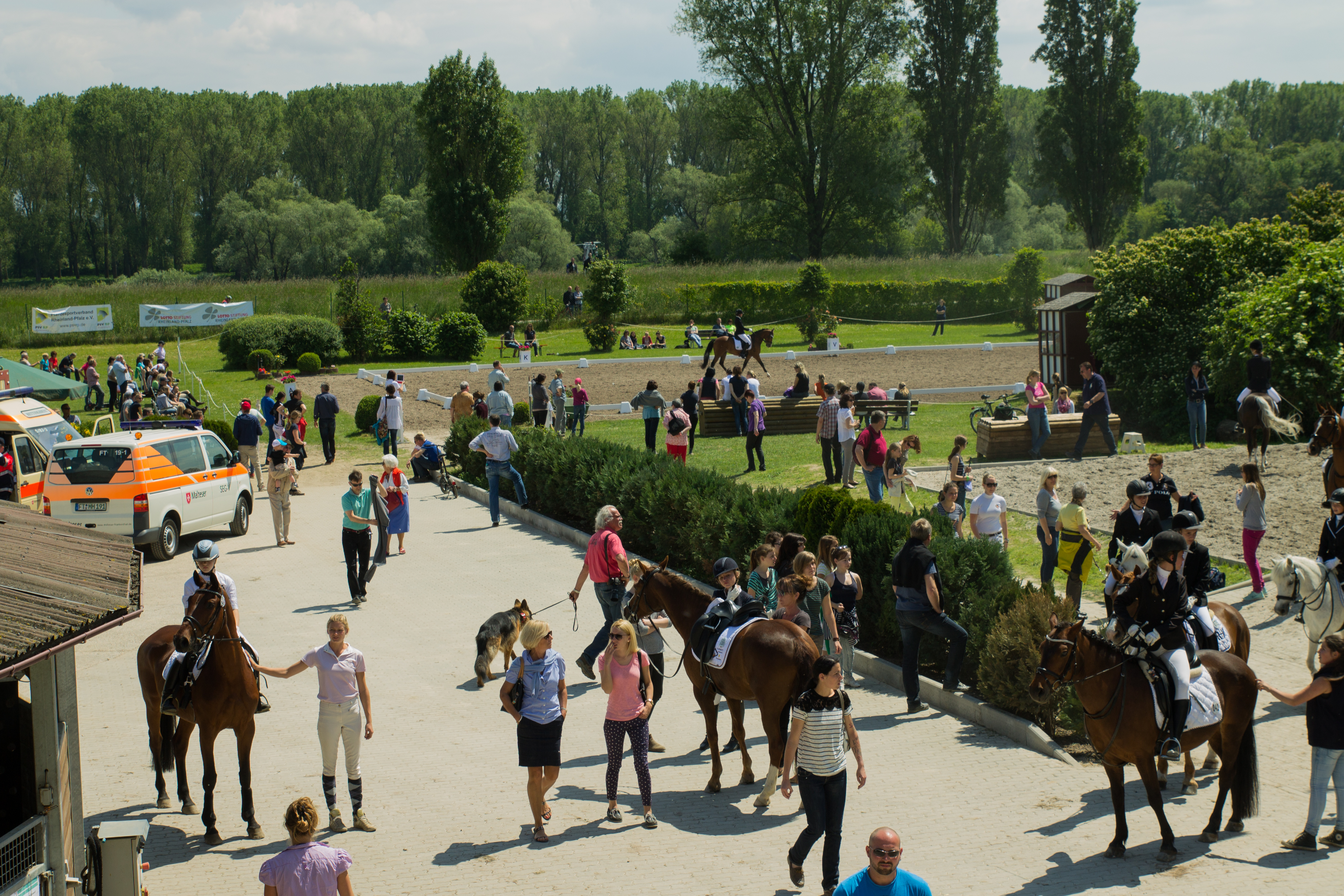 Großes Reitturnier auf dem Hofgut Petersau.
