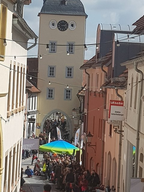 Der Zieleinlauf | Foto: Claudia Bardon