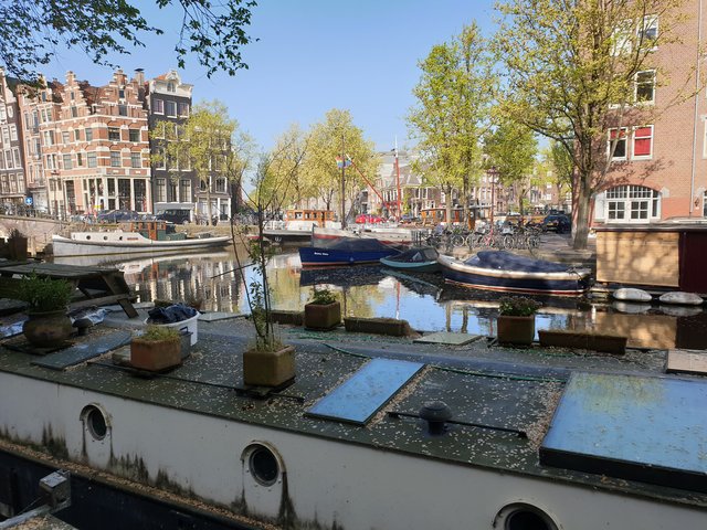 Facettenreich in einer bunten Vielfalt: Amsterdamm | Foto: Harald Schönig