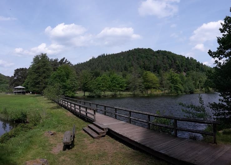 Bergig-waldige Fahrt durch unberührte Landschaft.