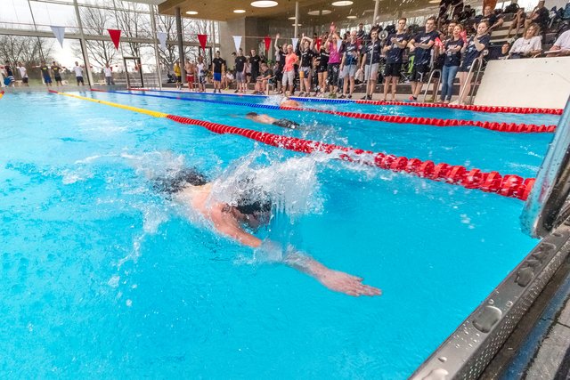 Schwimmen im Karlsruher Fächerbad | Foto: Paul Needham