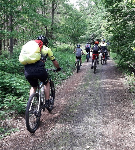 Radsportler machten die Waldwege unsicher | Foto: |szip