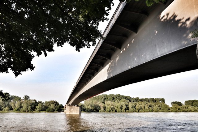 Die Salierbrücke verbindet normalerweise Speyer mit der anderen Rheinseite. Derzeit wird sie saniert. | Foto: Bauer