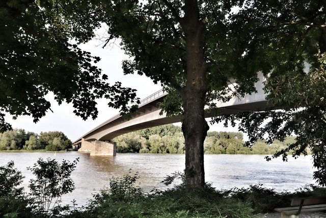 Die Speyrer waren schon immer bemüht, den Rhein queren zu können: über eine Furt, diverse Fähren und über Brücken. Derzeit ist die Salierbrücke gesperrt. | Foto: Bauer