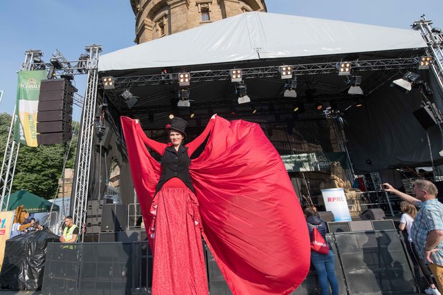 Hochaufgeschossen.  | Foto: Gaier