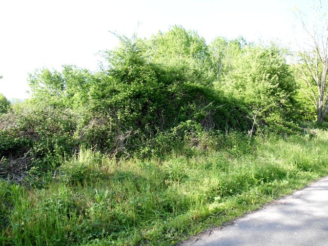 Ausgangssituation Katholische junge Gemeinde | Foto: W. G. Stähle