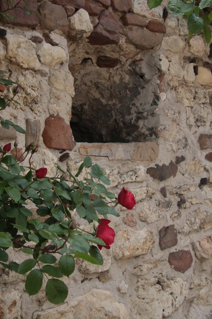 An der Stadtmauer. | Foto: Franz Walter Mappes