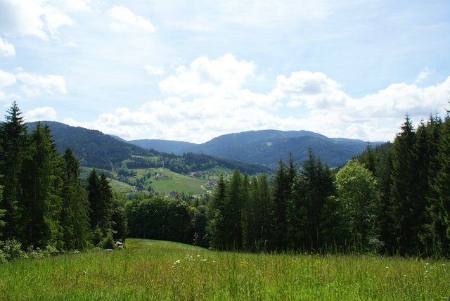 Foto: K.P. Schäfer