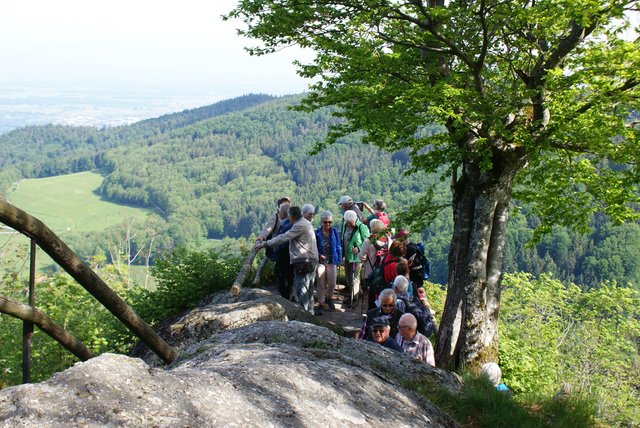 Foto: K.P. Schäfer