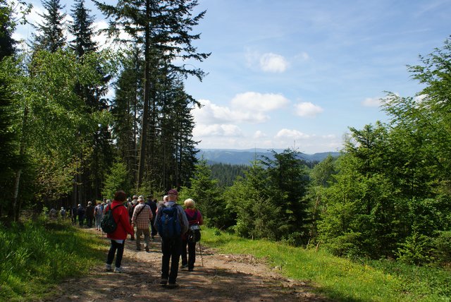 Foto: K.P. Schäfer