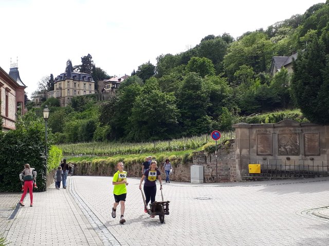 Foto: Verena König