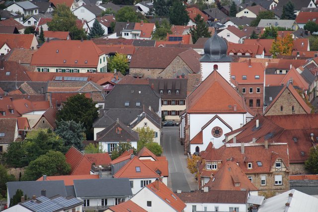 Der Ortskern von Wachenheim. | Foto: Jonas Beckmann