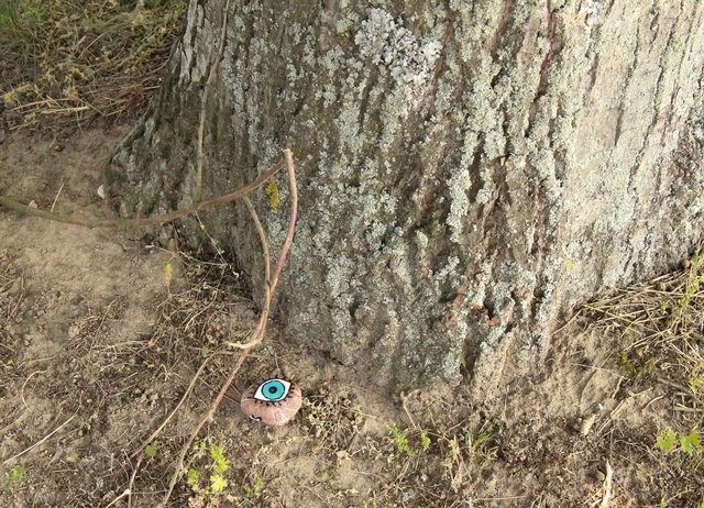 Ob er wohl bald gefunden wird? | Foto: Heike Schwitalla
