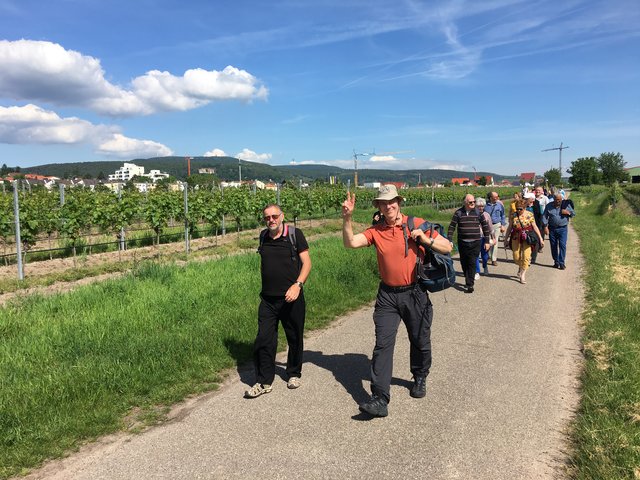 Am Samstagvormittag wanderte man mit den Gästen durch den Fronhof Richtung Wachenheim.  | Foto: Ulrich Baer