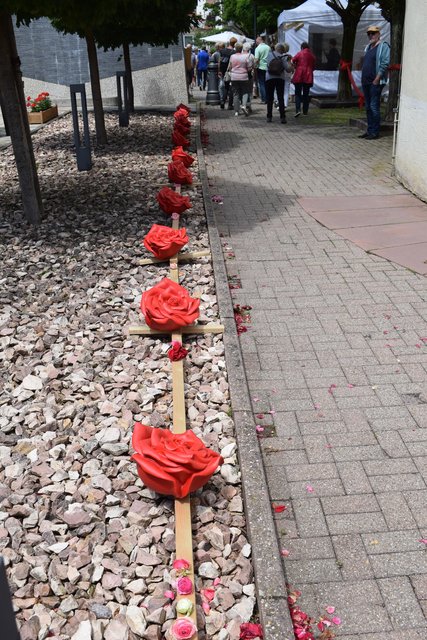 Rote Rosen weisen den Weg zum Schloss-Innenhof. | Foto: B.Bender