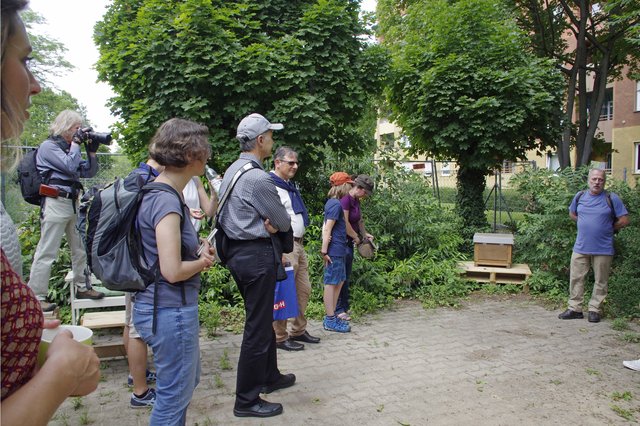 Am Bienenstock mit Imker Eisele | Foto:   Ilona Schäfer
