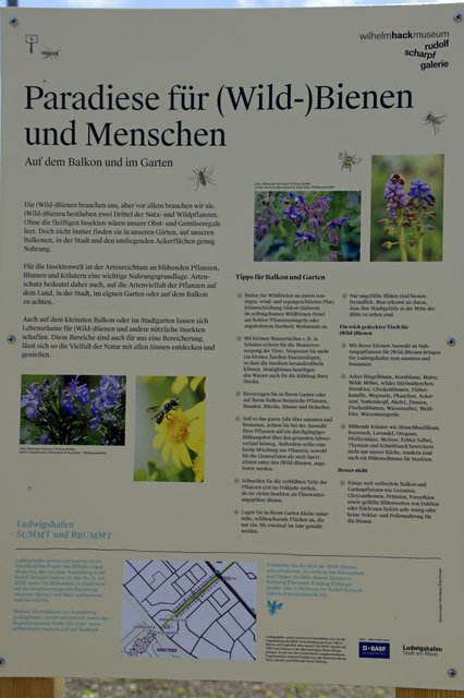 Foto: Ilona Schäfer