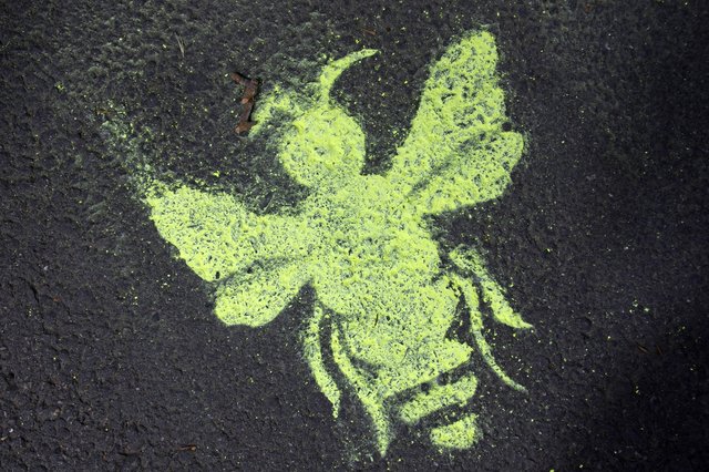 Wegweiser, immer der Biene nach...  | Foto: Ilona Schäfer