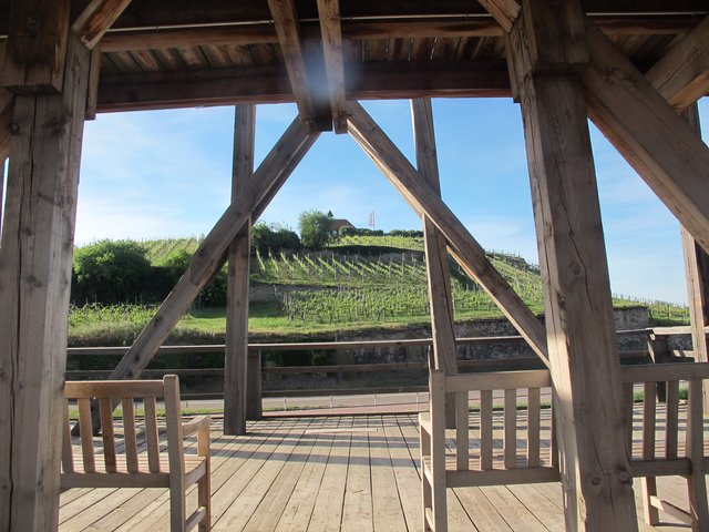 Schöne Aussichten: Blick vom Gradierbau zum Michelsberg. | Foto: Förderverein Gradierbau