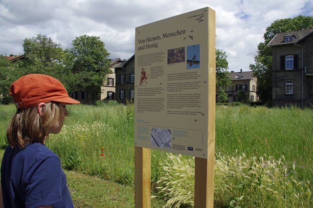 Informative Schautafeln gibt es an allen Stationen des Bienenpfads | Foto: Ilona Schäfer