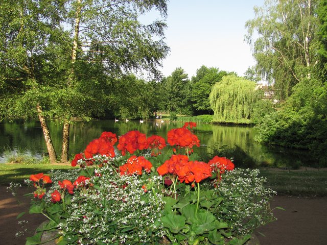 Schwanenweiher(Volkspark)