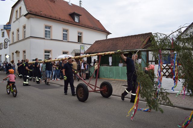 Der Kerwebaum auf der Zielgeraden. | Foto: B.Bender