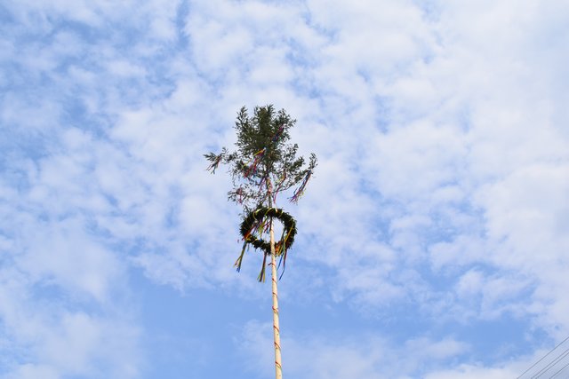 Der Kerwebaum steht und die Wolken verziehen sich. | Foto: B.Bender