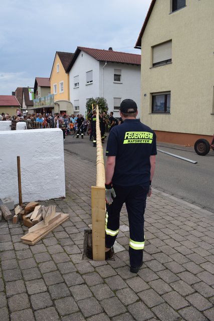 Der Kerwebaum wird ausgerichtet. | Foto: B.Bender