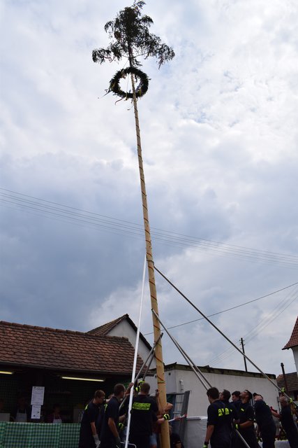 Der Kerwebaum ragt bereits in den Himmel. | Foto: B.Bender