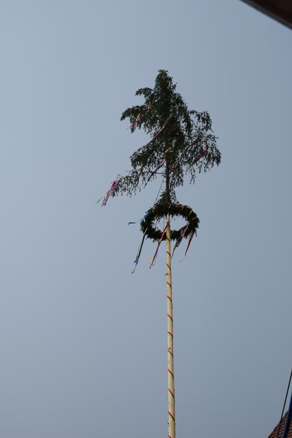 Der Kerwebaum hat den ersten Regenguss heil überstanden.  | Foto: B.Bender