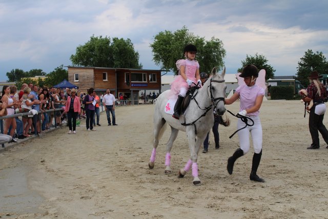 Farbliche Harmonie bei Reiterin und Pferd. | Foto: Karl Freidel