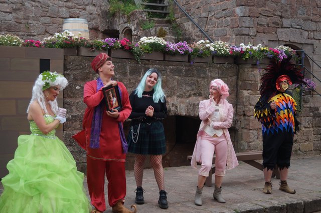 Die Dienerinnen der Königin der Nacht wollen mit ihrem Charme punkten | Foto: Walter