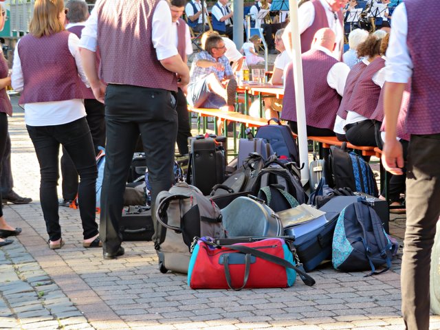 Hochdorfer Musiker auf Reisen | Foto: Brigitte Melder