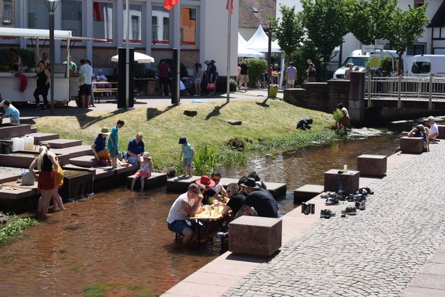Abkühlung in der Queich.