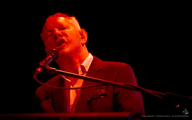 Joe Jackson, Zeltival 2019 | Foto: Paul Needham