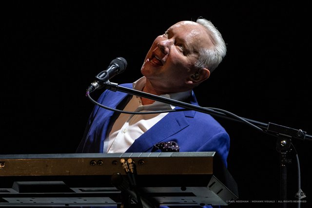 Joe Jackson, Zeltival 2019 | Foto: Paul Needham
