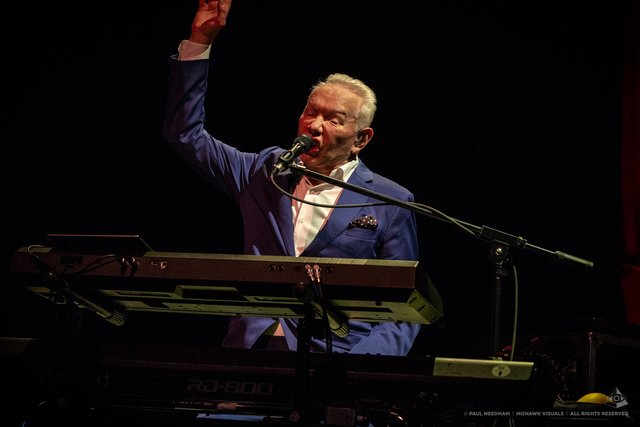 Joe Jackson, Zeltival 2019 | Foto: Paul Needham