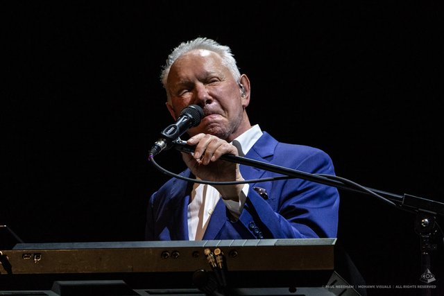 Joe Jackson, Zeltival 2019 | Foto: Paul Needham