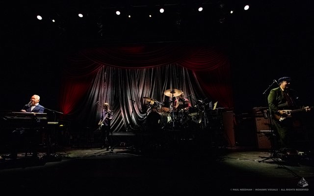 Joe Jackson, Zeltival 2019 | Foto: Paul Needham