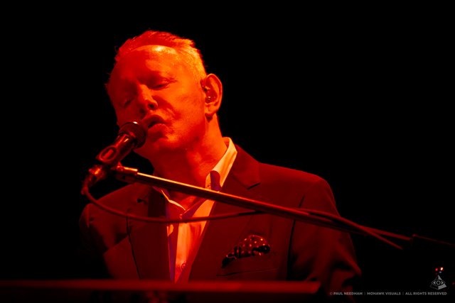 Joe Jackson, Zeltival 2019 | Foto: Paul Needham