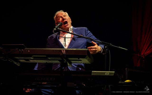 Joe Jackson, Zeltival 2019 | Foto: Paul Needham