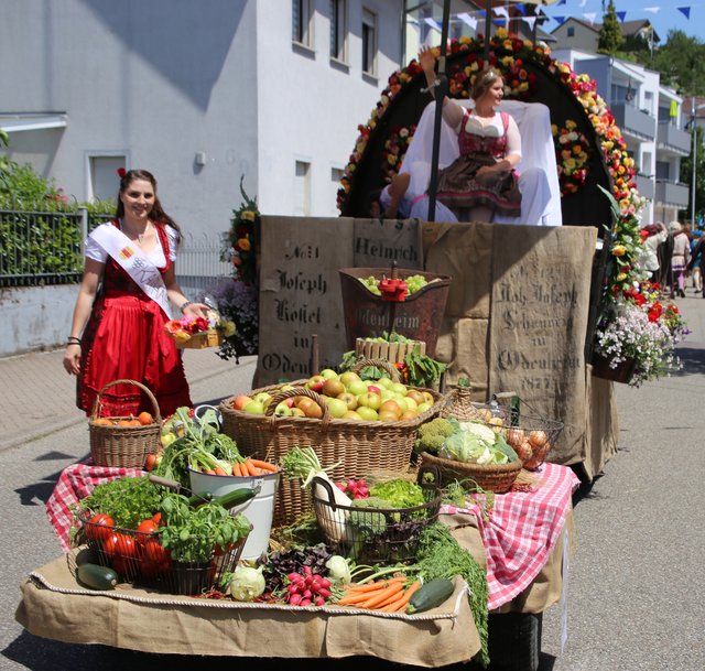 Wagen des Obst-, Wein- und Gartenbauvereins Odenheim mit der 63. Badischen Weinkönigin Katharina Zimmer (links) und der amtierenden Kraichgauer Weinprinzessin Rebecca Rieger | Foto: Wolfgang Braunecker