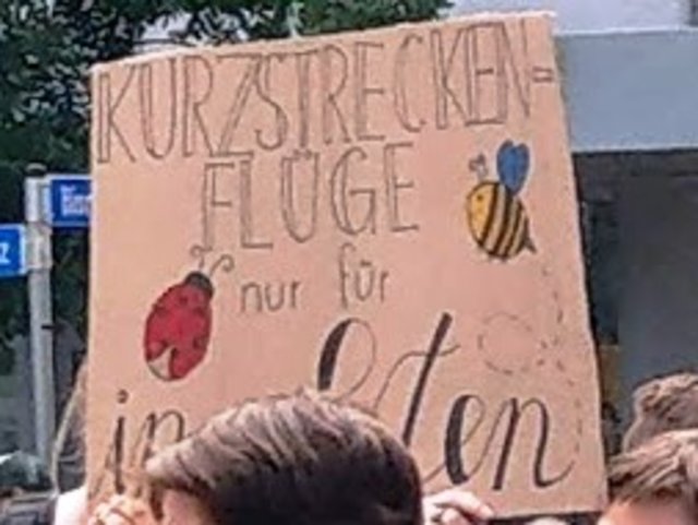 "Kurzstreckenflüge nur für Insekten" wies auf die Folgen der Flüge auf den Klimawandeln hin. | Foto: BAS