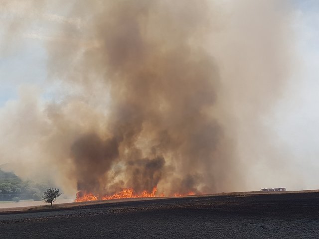 Foto: Feuerwehr Verbandsgemeinde Otterbach-Otterberg