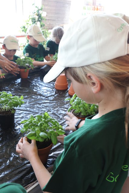 Die Pflanze im neuen Tontopf andrücken, so dass ein Gießrand entsteht | Foto: Bauer